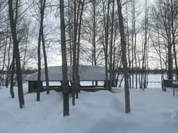 Лейсан